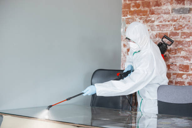  , USA Mold Removal Services Pros